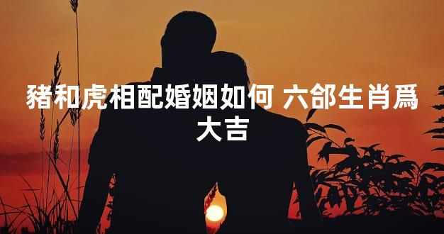 豬和虎相配婚姻如何 六郃生肖爲大吉